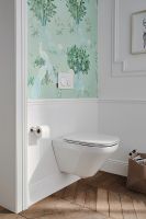 Товар: Унитаз Jacob Delafon Modern Life подвесной без сиденья арт-E77725-0 - фото 5 Унитаз Jacob Delafon Modern Life подвесной без сиденья арт-E77725-0 — фото 5, Подвесные унитазы