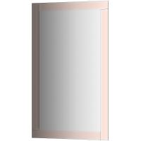 Зеркало Evoform Style 100x60 с зеркальным обрамлением - цвет Бронза арт-BY 0819 — фото 1, Зеркала в ванную комнату