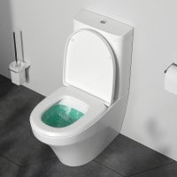 Унитаз-компакт AM.PM Inspire с бачком без сиденья арт-C508607WH — фото 2, Напольные унитазы