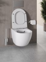 Товар: Унитаз Agger подвесной с сиденьем Микролифт арт-AT03100 - фото 10 Унитаз Agger подвесной с сиденьем Микролифт арт-AT03100 — фото 10, Подвесные унитазы