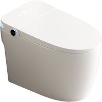 Унитаз биде SantiLine приставной с сиденьем Микролифт арт-SL-5035 — фото 1, Умные унитазы