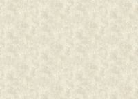 Обои Grandeco Time 3 Винил на флизелине (1,06*10,05) Бежевый, Штукатурка арт-TJ 3005 — фото 2, Обои для стен