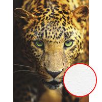 Фреска Ortograf Животные 4180 Фактура бархат FX Флизелин (2*2,7) Оранжевый/Черный, Животные арт-4180 (бархат FX) — фото 1, Фрески