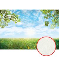 Фреска Ortograf Relax 34265 Фактура флок FLK Флизелин (4*2,7) Голубой/Зеленый, Небо/Пейзаж арт-34265 (флок FLK) — фото 1, Фрески