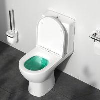 Унитаз компакт AM.PM Sunny FlashClean с бачком и сиденьем Микролифт арт-C85C8600SC — фото 6, Напольные унитазы