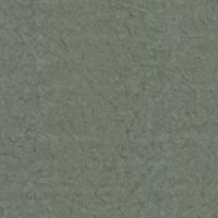 Обои Zambaiti Parati Trussardi VI Винил на флизелине (1,06*10,05) Зеленый, Штукатурка арт-46042 — фото 1, Обои для стен