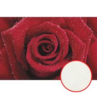 Фреска Ortograf Цветы 5399 Фактура флок FLK Флизелин (2*1,3) Красный, Цветы арт-5399 (флок FLK) — фото 1, Фрески