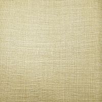 Обои Zambaiti Parati Trussardi V Винил на флизелине (0,7*10) Бежевый/Золото, Рогожка арт-21832 — фото 1, Обои для стен