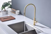 Смеситель для кухни Paulmark Senso Светлое брашированное золото арт-Se215180-SBG — фото 3, Смесители для кухни