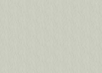 Обои Zambaiti Parati Trussardi VII Винил на флизелине (0,7*10,05) Серый, Абстракция/Листья арт-18907 — фото 2, Обои для стен