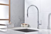 Смеситель для кухни Paulmark Senso Хром арт-Se215180-CR — фото 2, Смесители для кухни