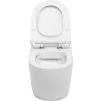 Унитаз Aquanet Cetus-W BL-104N-WHT подвесной с сиденьем Микролифт арт-211908 — фото 4, Подвесные унитазы