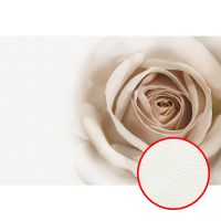 Фреска Ortograf Цветы 3189 Фактура флок FLK Флизелин (4*2,7) Белый/Бежевый, Цветы арт-3189 (флок FLK) — фото 1, Фрески