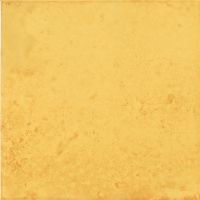 Керамическая плитка Del Conca Corti di Canepa CM23 Giallo настенная 20х20 см арт-CM23.056 — фото 1, Керамическая плитка