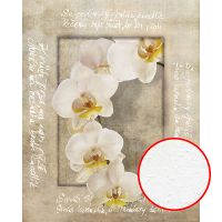 Фреска Ortograf Цветы 4089 Фактура бархат FX Флизелин (2*2,5) Бежевый/Белый, Цветы/Надписи арт-4089 (бархат FX) — фото 1, Фрески