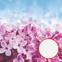 Фреска Ortograf Цветы 3153 Фактура бархат FX Флизелин (2*2) Голубой/Розовый, Цветы арт-3153 (бархат FX) — фото 1, Фрески