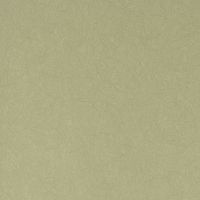 Обои Bernardo Bartalucci Legend Флизелин (1,06*10) Зеленый, Однотонные арт-5068-51 — фото 1, Обои для стен