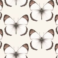 Обои Andrea Rossi Cheradi Винил на флизелине (1,06*10,05) Белый/Бежевый, Бабочки арт-54401-2 — фото 1, Обои для стен