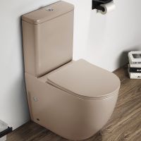 Унитаз компакт CeramaLux Капучино матовый с бачком и сиденьем Микролифт арт-2166XMC — фото 1, Напольные унитазы