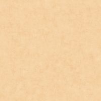 Обои Caselio Beton 2 Винил на флизелине (0,53*10,05) Бежевый, Штукатурка арт-101483100 — фото 1, Обои для стен