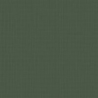 Обои LOYMINA Gallery Classic Флизелин (1*10,05) Зеленый, Рогожка арт-GC5 005 — фото 1, Обои для стен