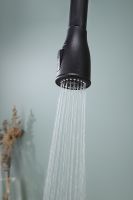 Товар: Смеситель для кухни Paulmark Lange Черный металлик арт-La214212-418 - фото 9 Смеситель для кухни Paulmark Lange Черный металлик арт-La214212-418 — фото 9, Смесители для кухни