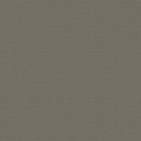 Обои Bernardo Bartalucci Medici Винил на флизелине (1,06*10,05) Коричневый, Однотонные арт-84204-12 — фото 1, Обои для стен