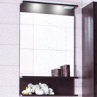 Зеркало Бриклаер Чили 55 с подсветкой Венге арт-4627125415043 — фото 1, Зеркала в ванную комнату