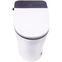 Унитаз биде Panasonic CH приставной с сиденьем Микролифт арт-2711 — фото 2, Умные унитазы