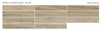 Керамогранит Staro Wood Forest Natural  Matt 20х120 см арт-С0005664 — фото 2, Керамогранит