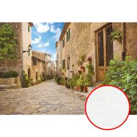 Фреска Ortograf Городской пейзаж 4093 Фактура бархат FX Флизелин (4*2,7) Бежевый/Зеленый/Голубой, Город/Пейзаж арт-4093 (бархат FX) — фото 1, Фрески