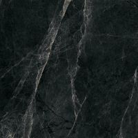 Керамогранит Bluezone Worner Black Sugar 60х60 см арт-RP-145025 — фото 14, Керамогранит