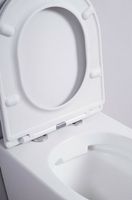 Унитаз Esbano Azalea подвесной Белый глянцевый с сиденьем Микролифт арт-ESUPAZALW — фото 10, Подвесные унитазы