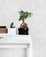 Товар: Обои Wiganford by Solo Lunman Винил на флизелине (1,06*10,05) Белый/Бежевый, Мрамор арт-ER2711 - фото 3 Обои Wiganford by Solo Lunman Винил на флизелине (1,06*10,05) Белый/Бежевый, Мрамор арт-ER2711 — фото 3, Обои для стен