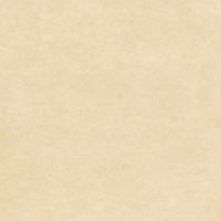 Товар: Керамогранит NewTrend Design Art Honey 20х20 см арт-GP2020DNA09 - фото 4 Керамогранит NewTrend Design Art Honey 20х20 см арт-GP2020DNA09 — фото 4, Керамогранит