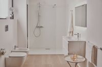 Душевая система Ideal Standard Ceratherm T50 с термостатом Хром арт-A7230AA — фото 10, Душевые стойки