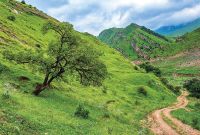 Фреска Ortograf Горы 30939 Фактура бархат FX Флизелин (4*2,7) Зеленый/Голубой, Горы/Пейзаж/Природа арт-30939 (бархат FX) — фото 2, Фрески