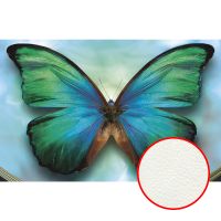 Фреска Ortograf Животные 5482 Фактура флок FLK Флизелин (4,2*2,7) Голубой/Зеленый, Бабочки арт-5482 (флок FLK) — фото 1, Фрески