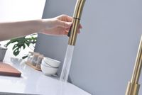 Смеситель для кухни Paulmark Senso Светлое брашированное золото арт-Se215180-SBG — фото 9, Смесители для кухни