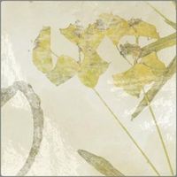 Керамическая плитка Ape Souk Kasbah Ocre Mix настенная 13х13 см арт-KasbahOcreMix — фото 1, Керамическая плитка