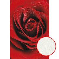 Фреска Ortograf Цветы 30036 Фактура флок FLK Флизелин (1,8*2,7) Красный, Цветы арт-30036 (флок FLK) — фото 1, Фрески