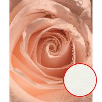 Фреска Ortograf Цветы 30426 Фактура флок FLK Флизелин (2,2*2,7) Розовый, Цветы арт-30426 (флок FLK) — фото 1, Фрески