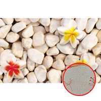 Фреска Ortograf 3D 30745 Фактура бархат золото FX-G Флизелин (4,2*2,7) Бежевый/Красный/Желтый, Цветы/Абстракция арт-30745 (бархат золото FX-G) — фото 1, Фрески