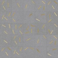 Товар: Керамогранит Arcana Ceramica Komi Maolan-R Antracita 20х20 см арт-8032 - фото 1 Керамогранит Arcana Ceramica Komi Maolan-R Antracita 20х20 см арт-8032 — фото 1, Керамогранит