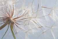 Фреска Ortograf Цветы 4125 Фактура бархат FX Флизелин (4*2,7) Голубой/Белый/Бежевый, Цветы арт-4125 (бархат FX) — фото 2, Фрески