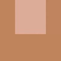 Керамогранит Fioranese Italian Landscape Firenze D 20,5х20,5 см арт-ILFI20D — фото 1, Керамогранит