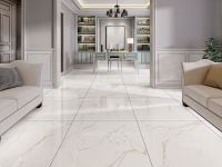 Керамогранит Pardis Ceramic Pazh Helion 60х60 см арт-P16604 — фото 9, Керамогранит