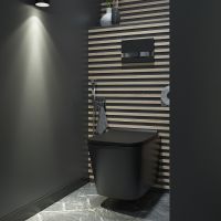 Унитаз Iddis Bild подвесной с сиденьем Микролифт арт-BILR2BMi25 — фото 6, Подвесные унитазы