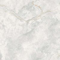 Керамогранит A-Ceramica Elison Polished 166687 60х60 см арт-00-00048924 — фото 1, Керамогранит