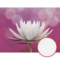 Фреска Ortograf Цветы 4835 Фактура бархат FX Флизелин (3,6*2,7) Розовый/Белый, Цветы арт-4835 (бархат FX) — фото 1, Фрески